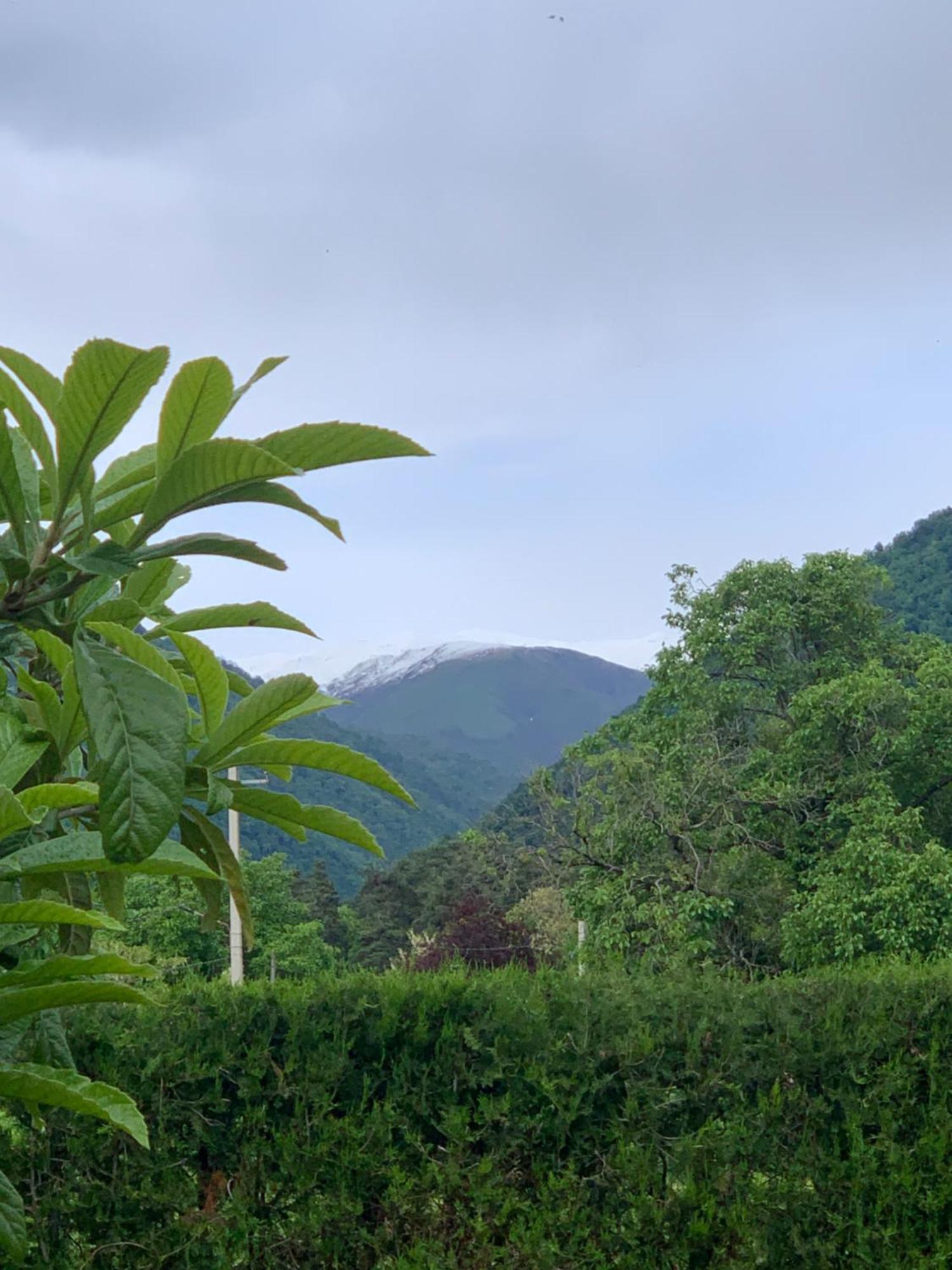 Green House 克瓦雷利 外观 照片