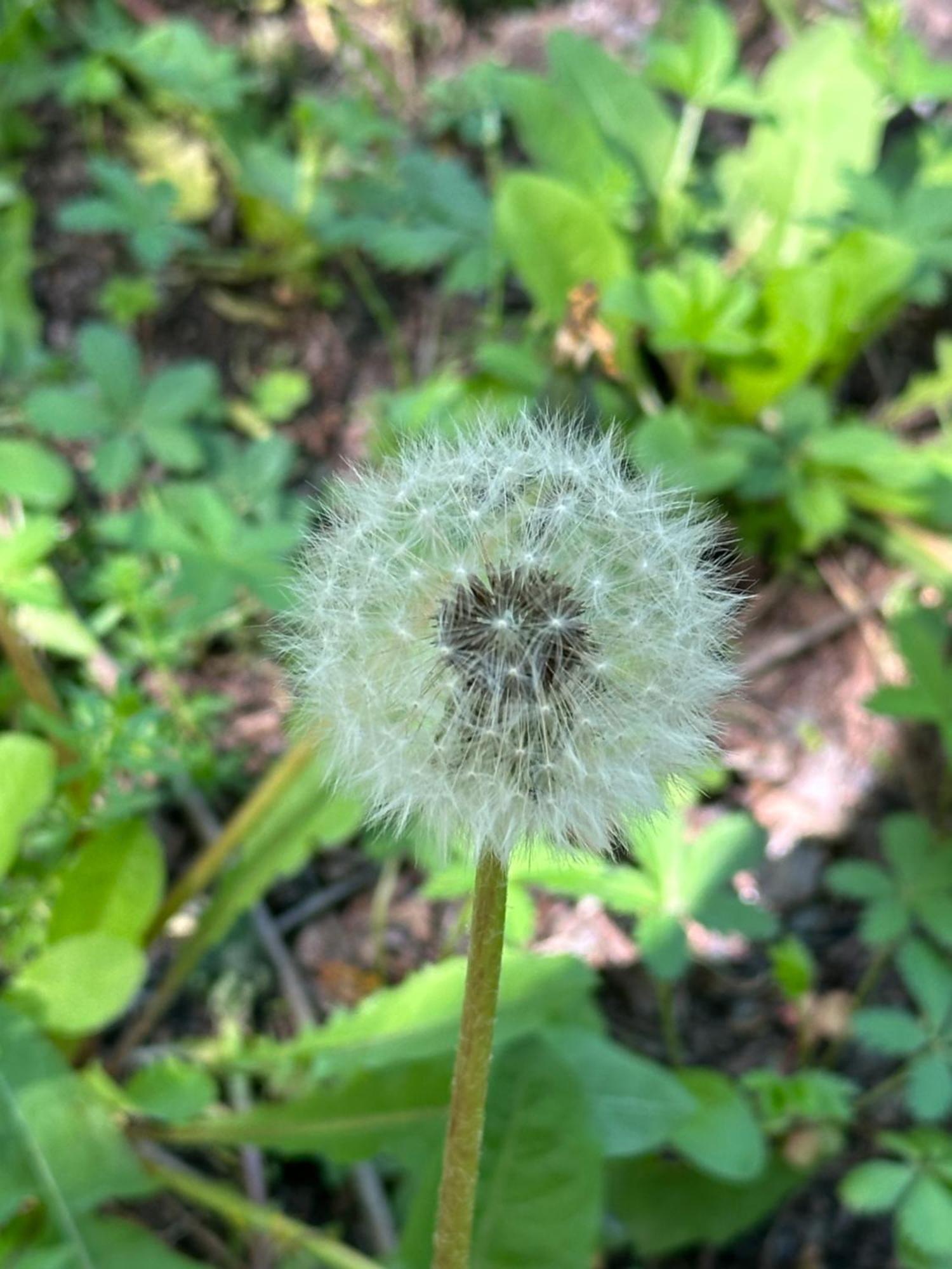 Green House 克瓦雷利 外观 照片