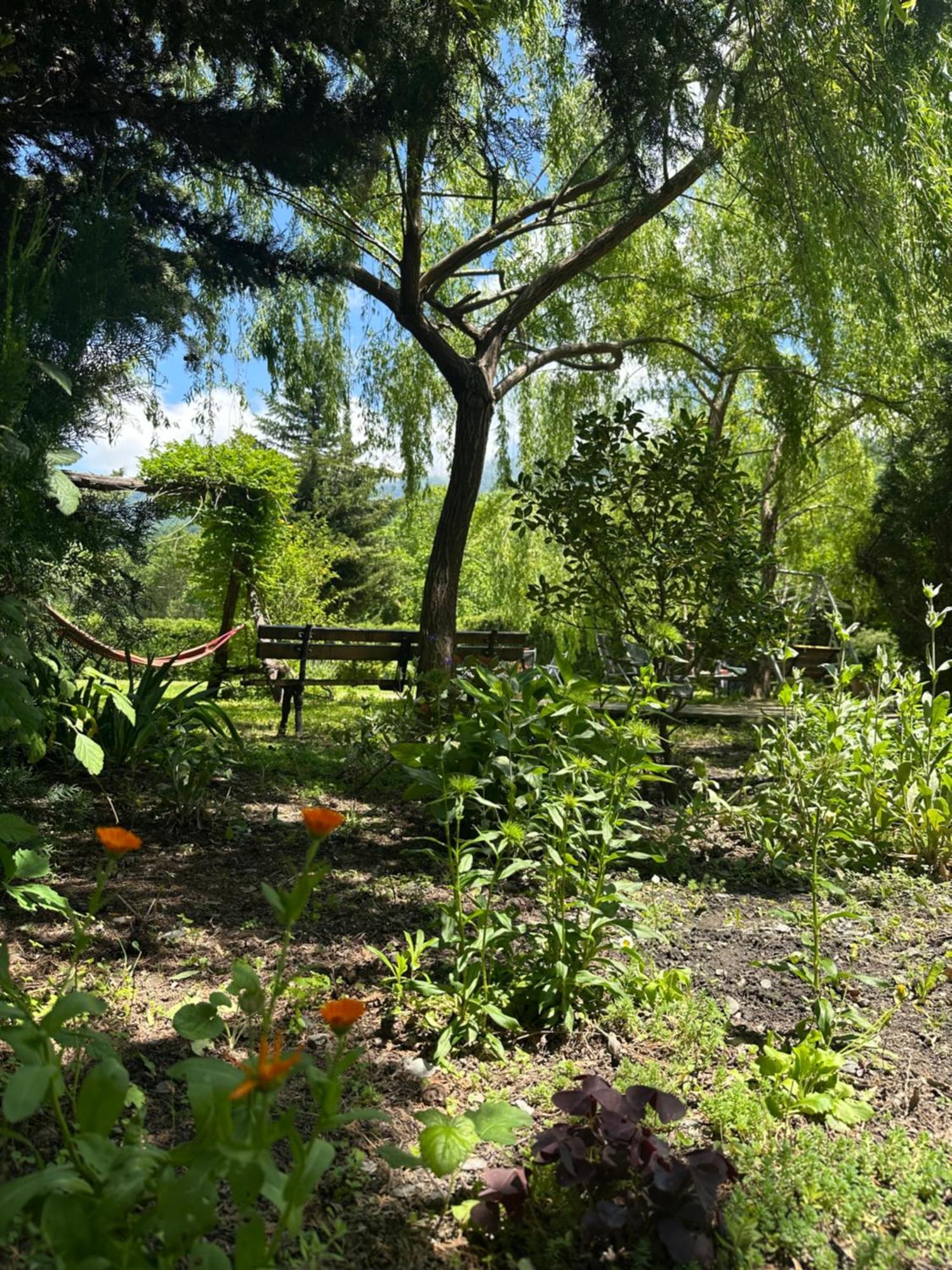 Green House 克瓦雷利 外观 照片